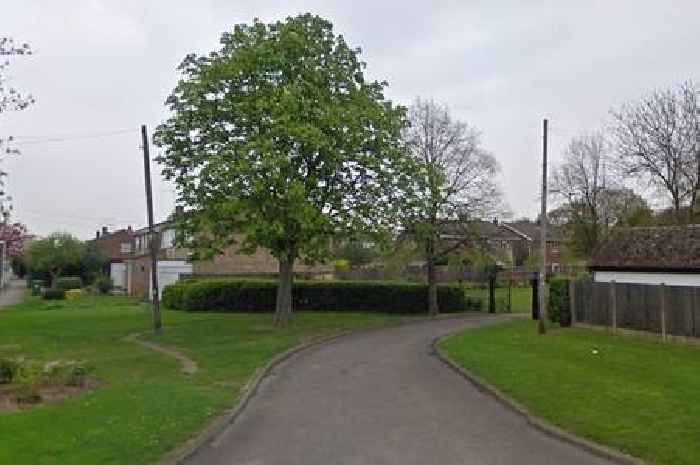 Wickford Cemetery vandalised and fence panels stolen in 'vile act'