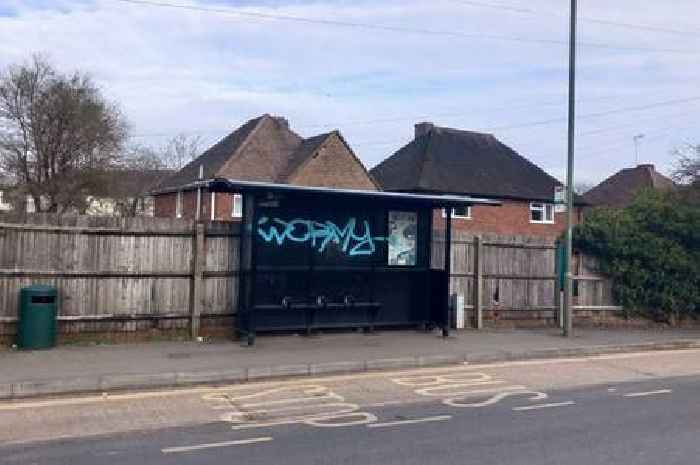 Guildford graffiti artist has become so prolific that Crimestoppers are offering a £1,000 reward to catch them