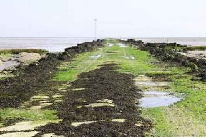 Trip to Essex's most mysterious island cancelled due to overbooking and roadworks