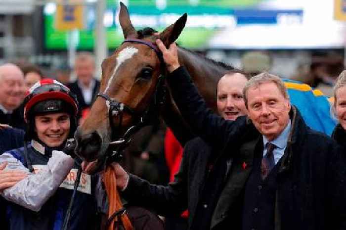 Harry Redknapp was 'sick as a parrot' after horse missed out on running in the Grand National