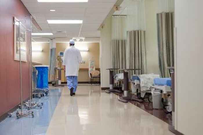 What are silverfish and are they harmful? Details of insects found in UK hospitals