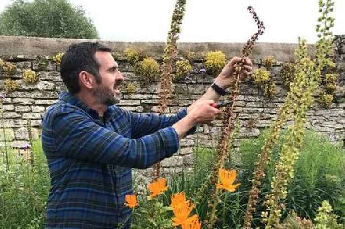 Adam Frost would fill in on Gardeners' World before 'running to hospital'