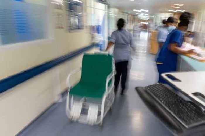 NHS staff share shocking stories of hospitals allegedly 'infested with rats, cockroaches and silverfish'