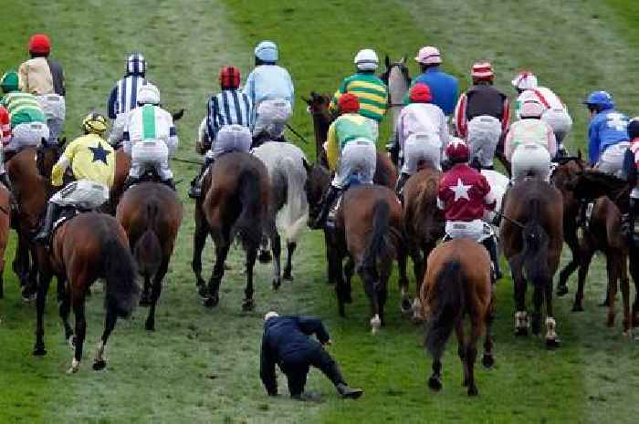 Grand National jockey revolt saw race official 'knocked down by horse' in chaos