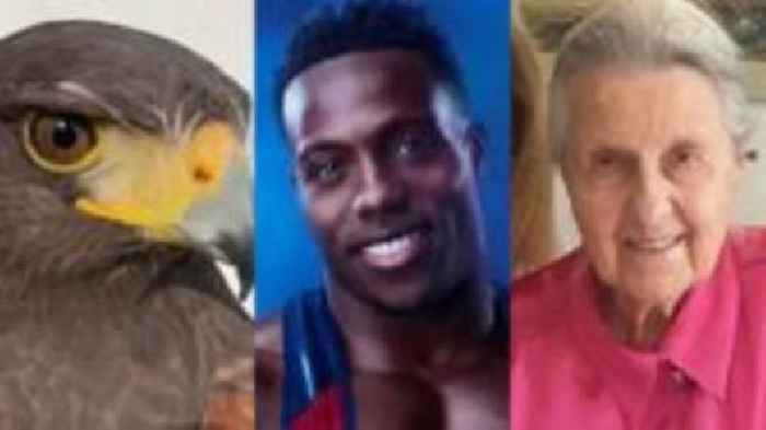 East of England news quiz of the week