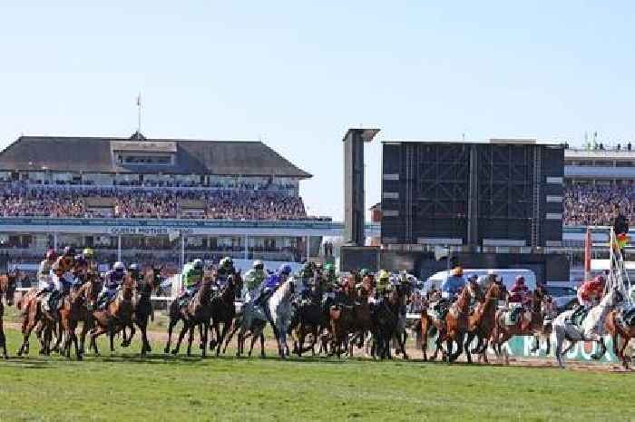 What happened to Grand National horses Broadway Boy and Celebre d'Allen after falling?