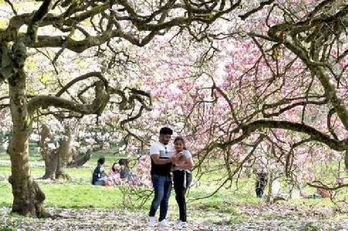 Met Office explains why it feels felt so cold despite all the sunshine in Wales
