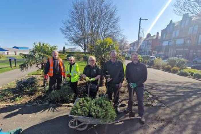 Grimsby gardening groups help rehome plants and flowers from Pier Gardens