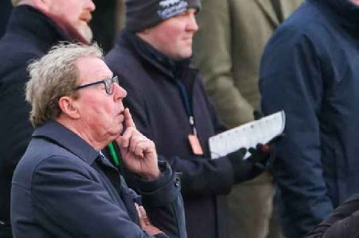 Harry Redknapp gives rare insight into his family, admitting they 'do get upset'