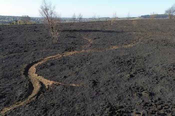Huge 'deliberate' wildfire leaves trail of devastation after threatening homes
