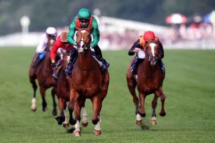 Coronation Cup on the agenda for Dubai Sheema Classic runner-up Calandagan