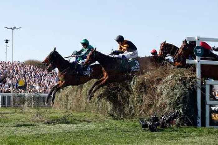 2025 Grand National at Aintree - how many horses died?
