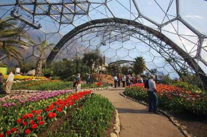 Cornwall's Eden Project named top UK spring experience