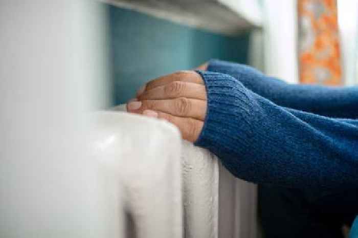 Welsh Government slammed over energy efficiency rollout that 'could take 135 years'