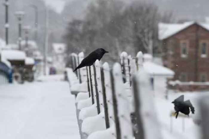 Weather maps show exact date 54-hour Artic snow blast to hit these UK areas