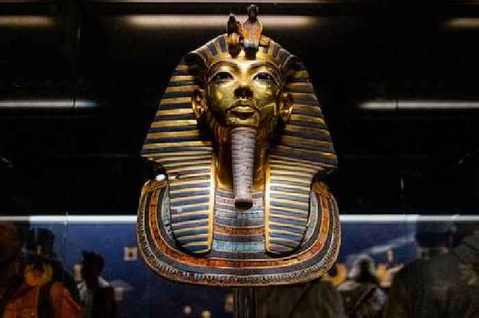 'Unexpected' Tutankhamun discovery after DNA results used to trace Boy King's family