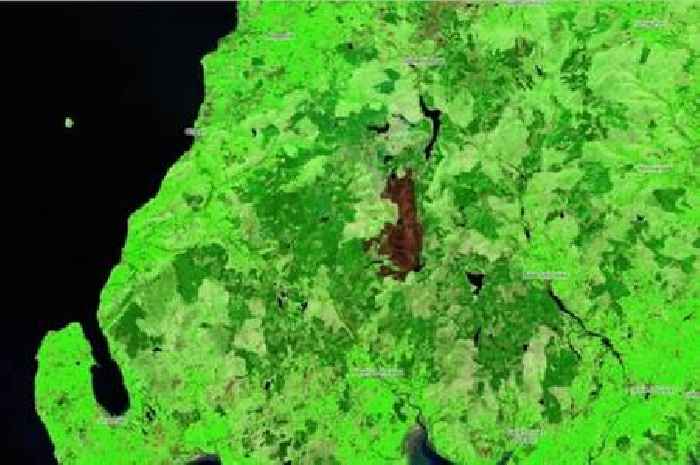 New map reveals extent of countryside scorched by Dumfries and Galloway wildfire