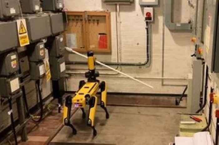 Robot dog flips switch at Scots nuclear plant that is 'too unsafe' for humans