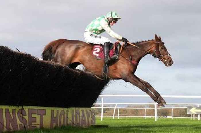 Grand National horse Celebre D'Allen's cause of death revealed after post-mortem