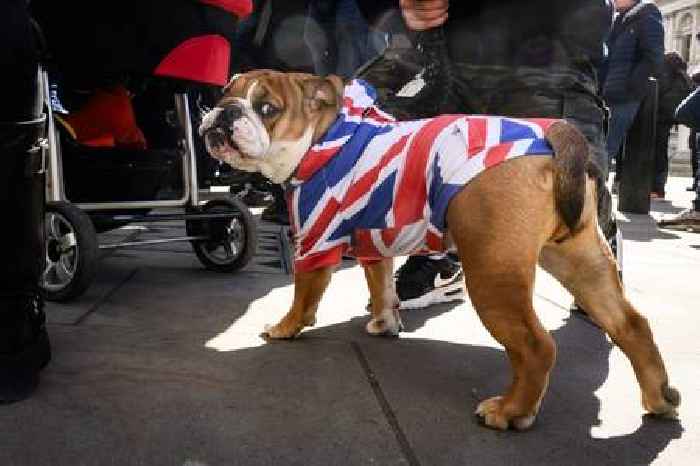How to make Britain great again