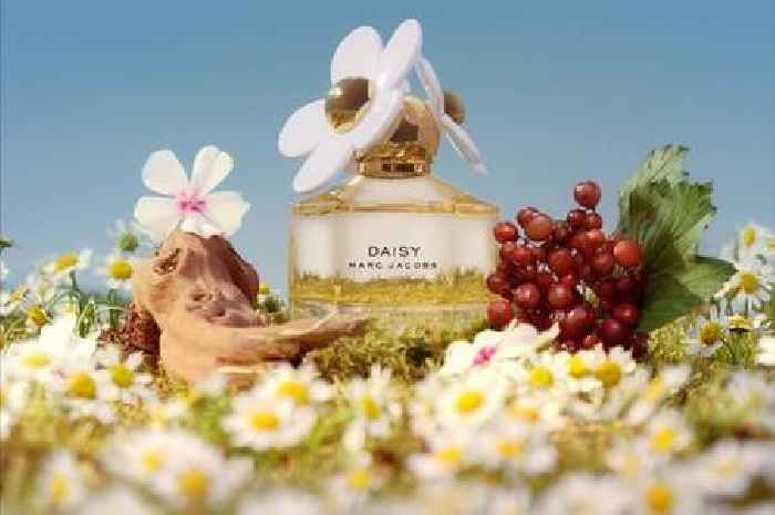 'Delicate' designer perfume with 'fresh, spring air' scent cut by 37% on Amazon
