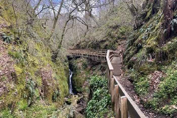 Scenic Clackmannanshire bridge re-opens four years after being destroyed by Storm Arwen