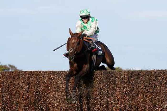 Celebre D'Allen's cause of death made public after tragic Grand National incident