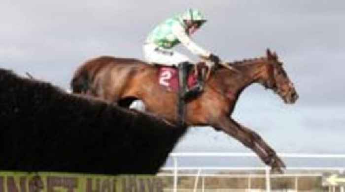 Celebre D'Allen died from 'post-race infection'