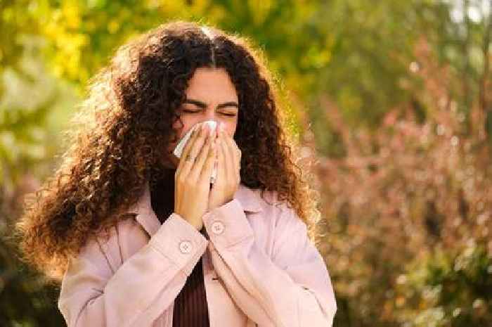 'I'm a pharmacist - five little-known hay fever symptoms that may happen to you'