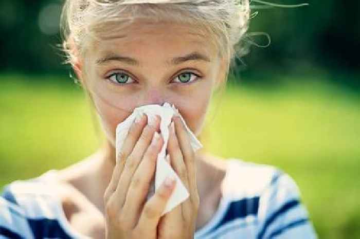 Pharmacist specifies five 'unusual' hay fever symptoms to look out for