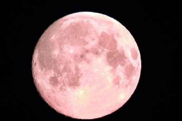You can see an amazing Pink Moon in the night sky this weekend
