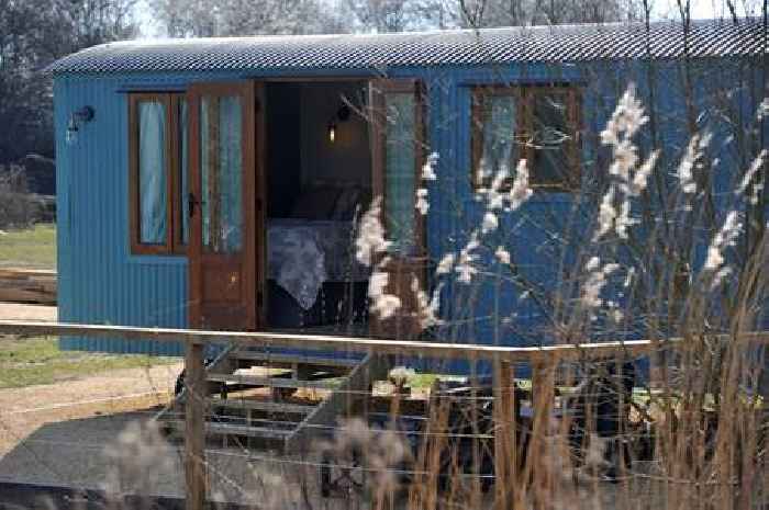 Boutique glamping launches at WWT Slimbridge