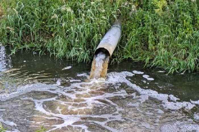 How much sewage is discharged near your home? See our interactive map