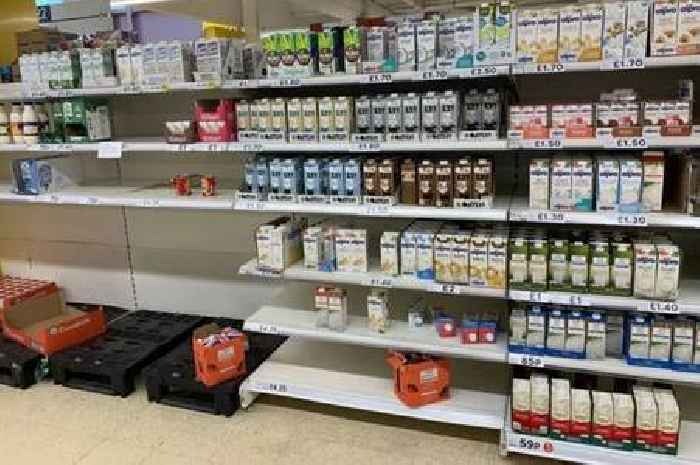 UK households urged to stockpile enough of nine items for 72 hours