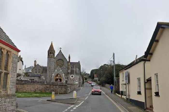 Man has life-changing injuries after brutal attack in Teignmouth