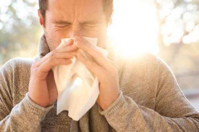 Met Office issues 'very high' pollen bomb alert with 13 million hay fever sufferers at risk