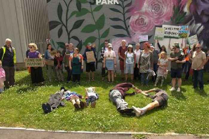Brislington housing scheme to go ahead amid calls to save 'very special place'