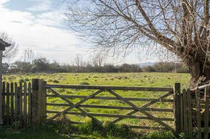 Wallace and Gromit creator donates to £4m farm transformation into ‘haven for biodiversity’