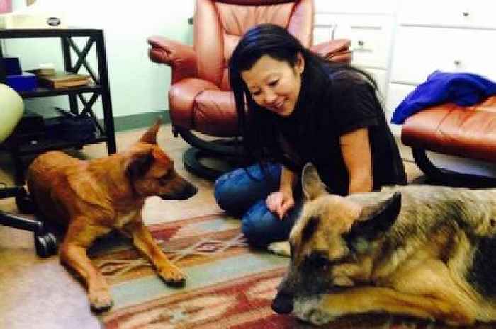 Gene Hackman's heartbroken dog watches over musician wife in harrowing footage