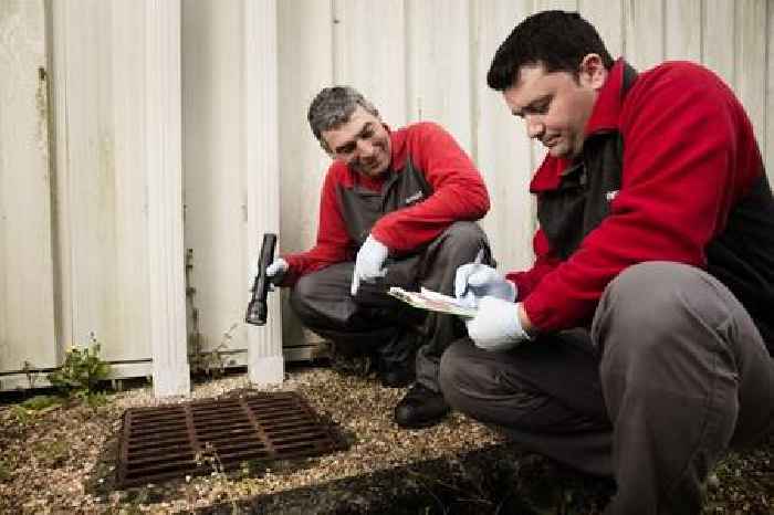 Rentokil: Slow US growth continues to hold pest control giant back
