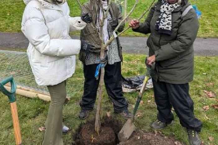 For the love of Benjamin Zephaniah - poems planted among the trees at Newtown event