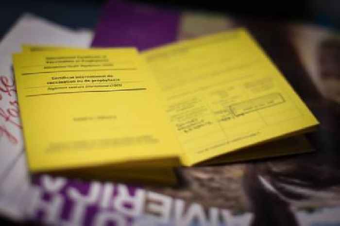 Foreign Office updates yellow fever advice for one country after 'increasing cases'