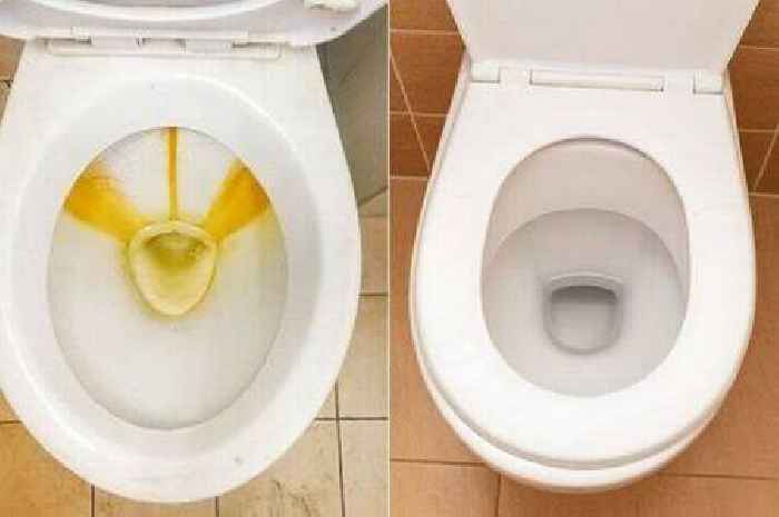 Mrs Hinch fans share 'game-changing' way of removing 5 years worth of toilet limescale in 5 minutes