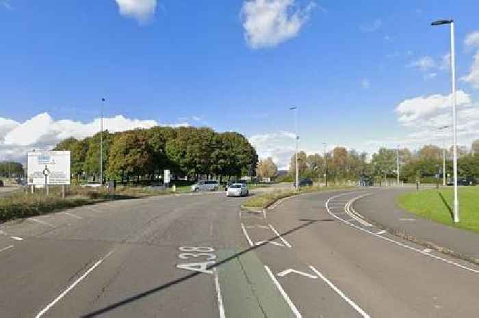 Live: M5 traffic stationary near Bristol due to animals on the motorway