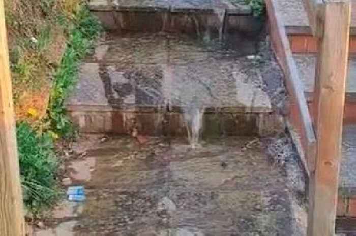 'First we had the bin strike - now we've got a river of sewage running outside our homes'
