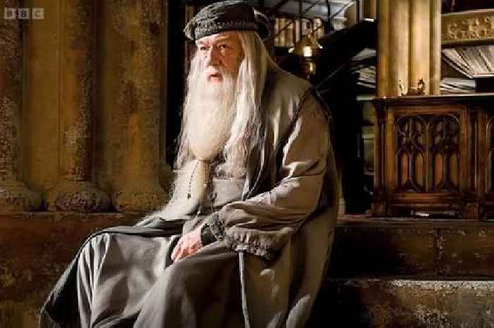 Actor playing Dumbledore in HBO Harry Potter remake breaks silence after fan backlash