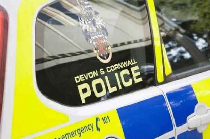 Woman in 20s fighting for her life after Bodmin crash