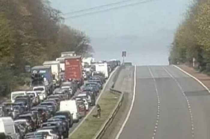M6 tragedy as boy, 14, dies in van crash