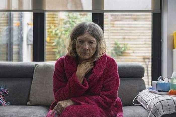 HMRC update could take 8 weeks as Brits warned of state pension delay