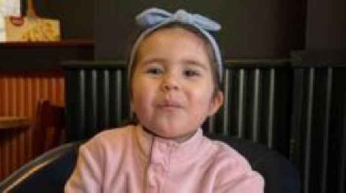Van driver admits causing girl's death in crash